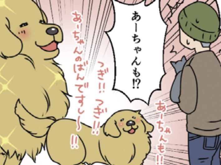 「この子達のためなら」腰痛も寝不足も関係なし！うちの夫の愛犬・愛猫への愛が深すぎる【おさんぽですし！#25】