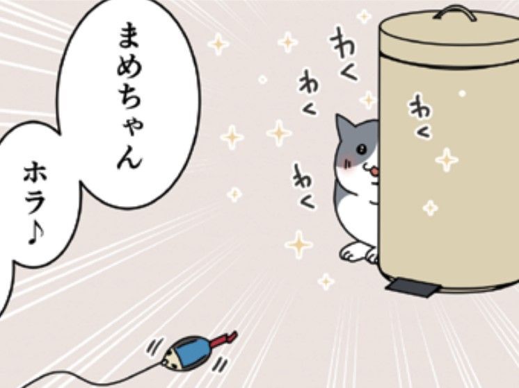 「設定がめんどくさい…」うちの愛猫、まめちゃんは遊びのルールに妥協なし【おさんぽですし！#20】