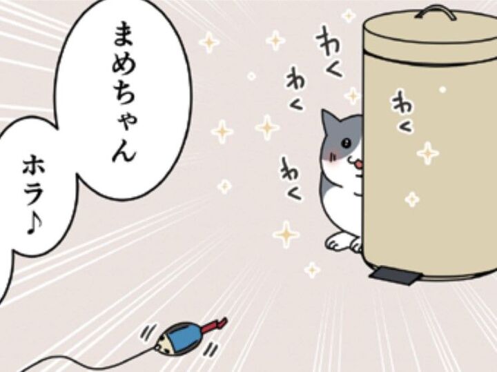 「設定がめんどくさい…」うちの愛猫、まめちゃんは遊びのルールに妥協なし【おさんぽですし!#20】