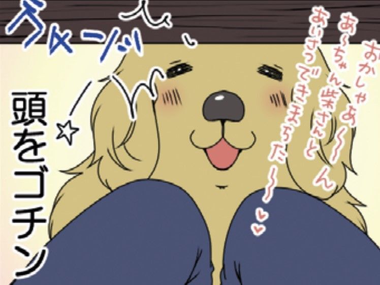 大型犬だから…なの！？うちの愛犬、あーちゃんがドックカフェに行くとこうなる【おさんぽですし！#17】