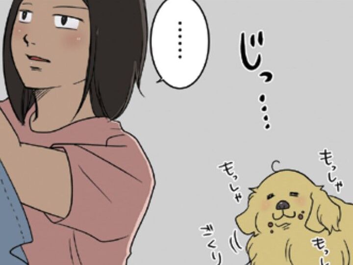 「どこにも行かないのに…」お出かけの気配を察知…!?心配性な愛犬の行動が可愛すぎる!【おさんぽですし!#10】