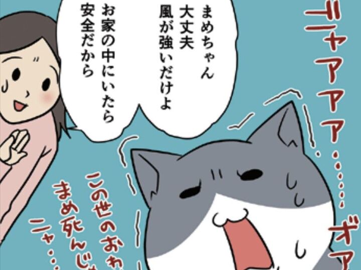 普段は強気なうちの愛猫。台風がくるとこうなります。まさかの二次被害も…!?【おさんぽですし!#26】