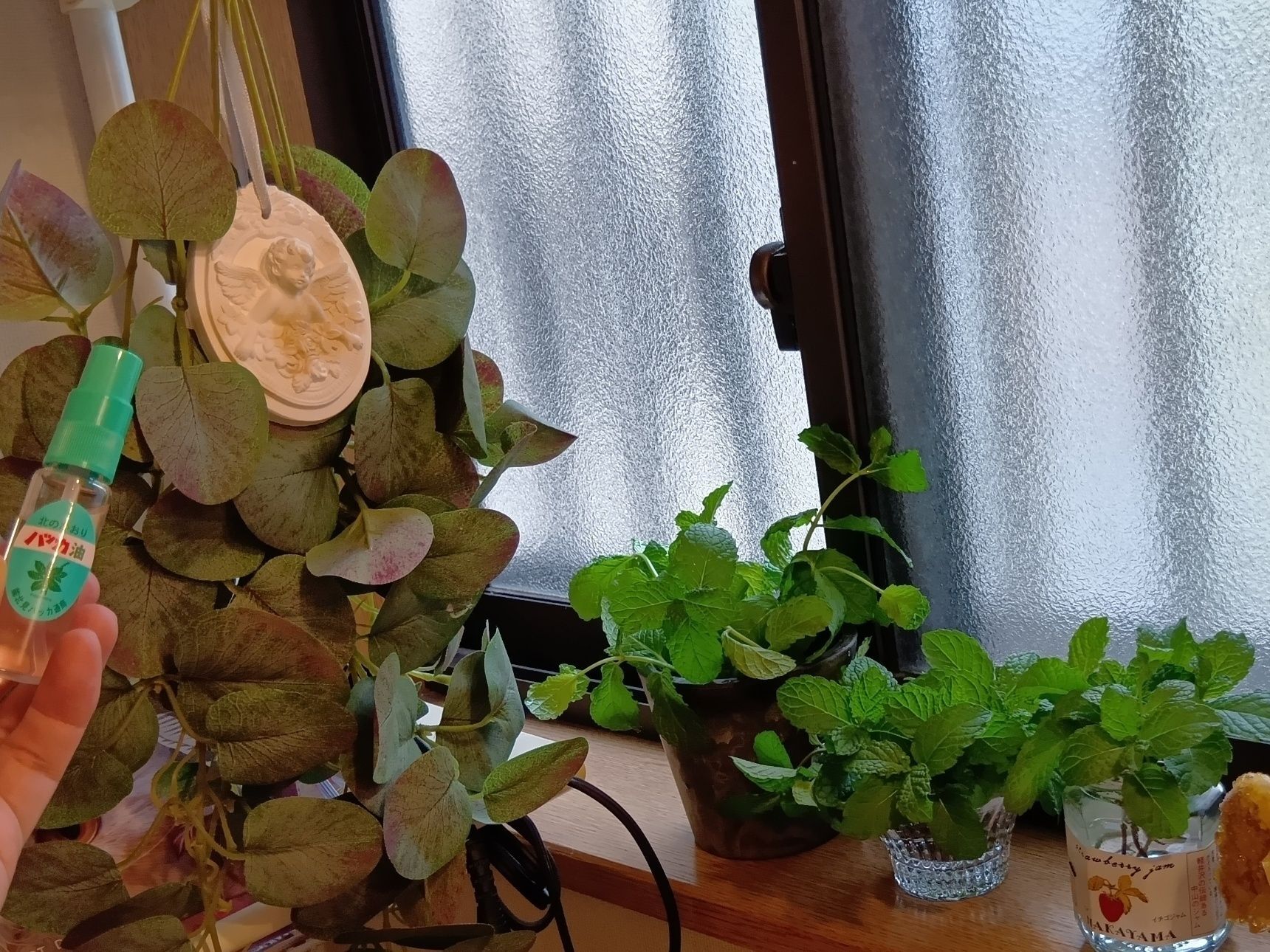 お部屋ごとに、その日の気分で精油の香りを変えることもありますが、ハッカの爽やかな香りは、じめじめとした梅雨の季節にぴったりです。