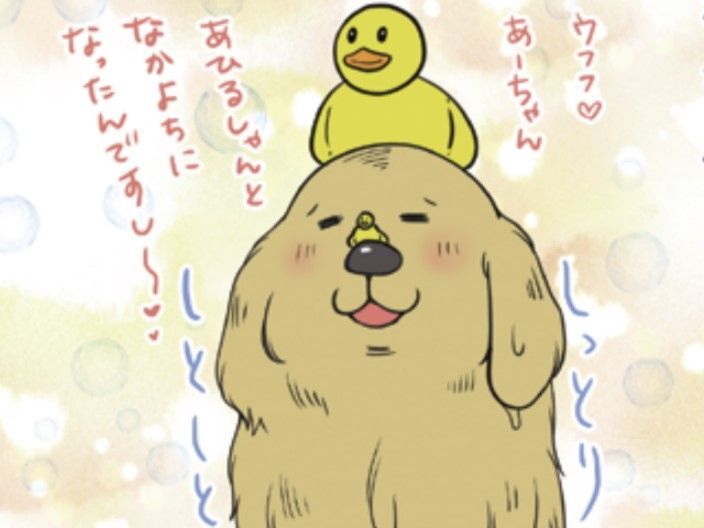 モフモフの罠…！サロン帰りの愛犬のモフモフに隠された「見慣れないナニカ」【おさんぽですし！#13】