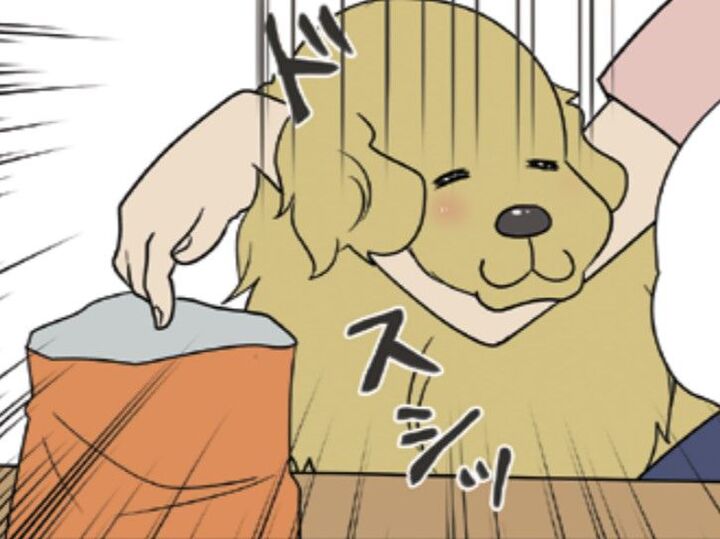 我が家の愛犬、あーちゃんのかわいいおねだり。だけどそれ、逆効果だよ…【おさんぽですし!#8】
