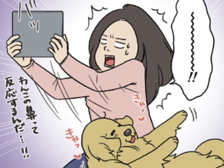 「それ反応するんだ！？」ネットショッピング中に愛犬が…まさかの決済方法！？【おさんぽですし！#7】