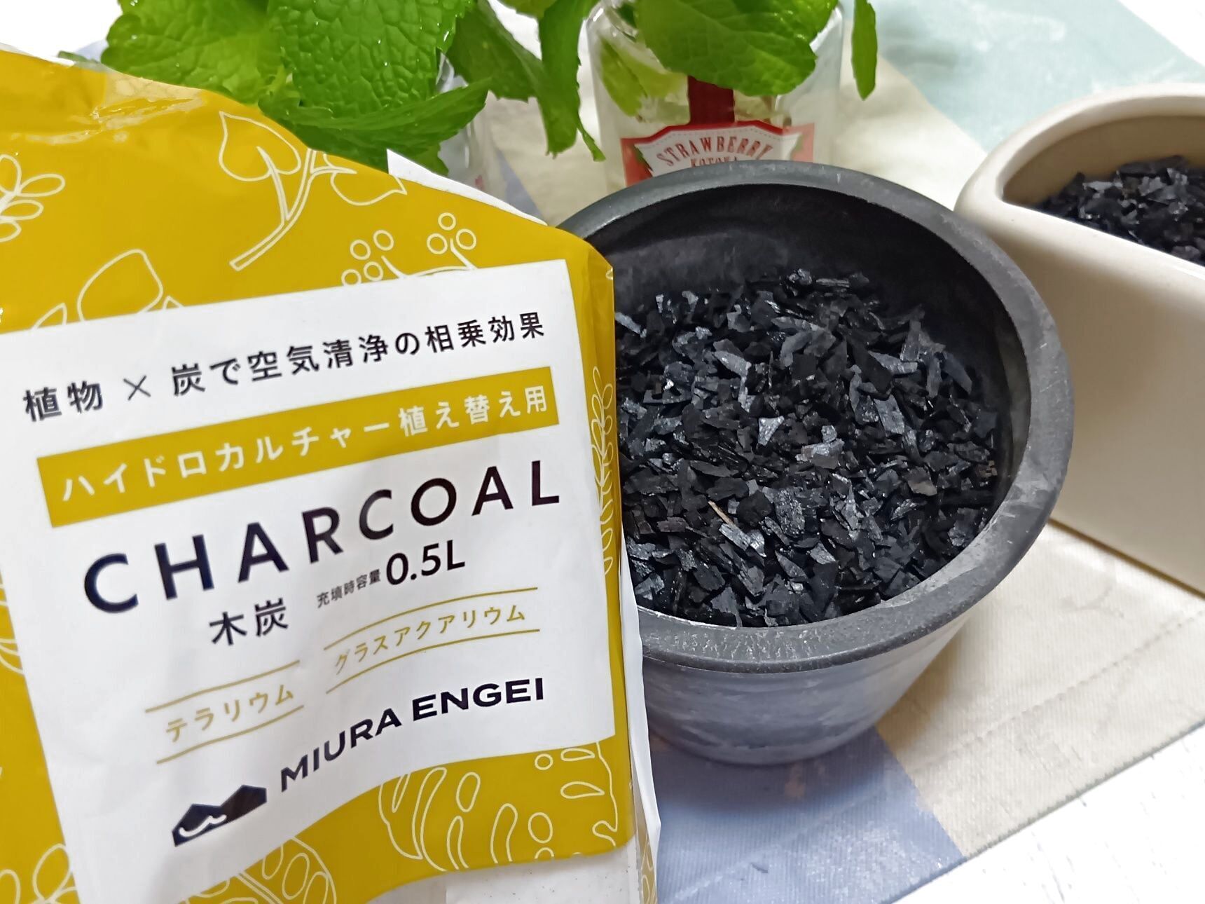 鉢に入れるのは、土でなく→炭のハイドロカルチャー！