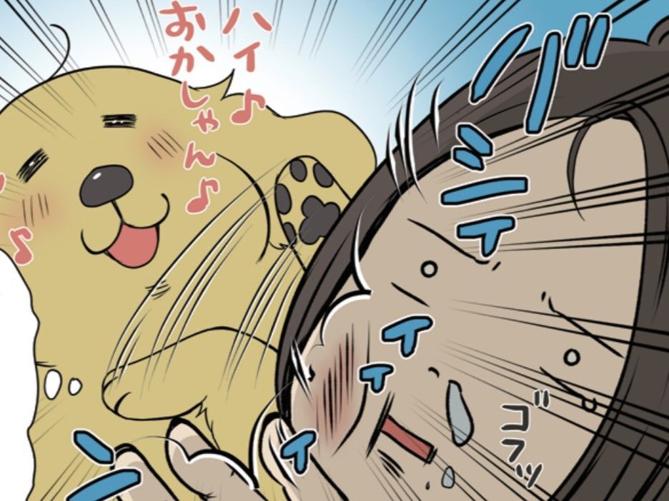 〈大型犬あるある〉まるでおじさんのような…！？とにかくなんでも豪快なんです【おさんぽですし！#11】