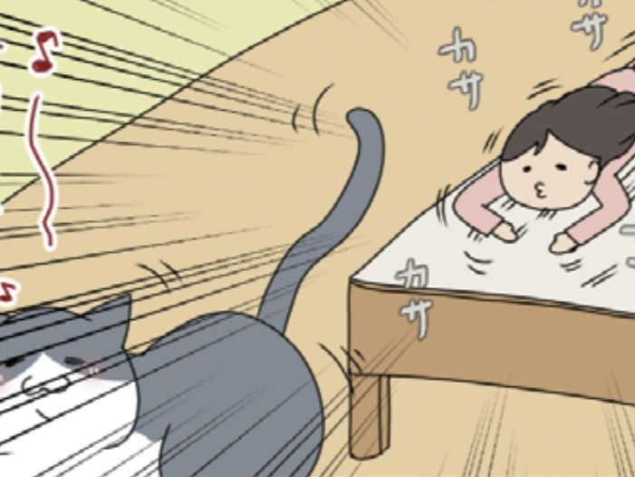 「このぬくもりがたまらない…！！」愛猫が昼寝から起きたら即座にやること【おさんぽですし！#32】