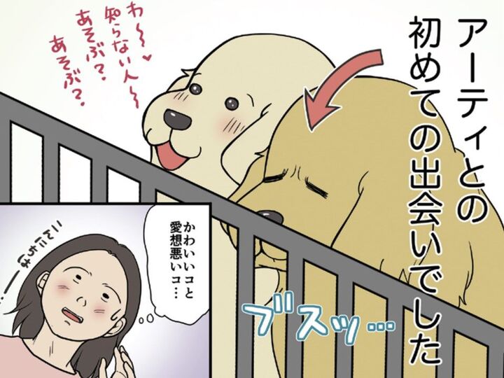大型犬を飼うために家を建てた私達。迎えに行った先で出会ったのは「愛想悪い」仔犬で…!?【おさんぽですし!#1】