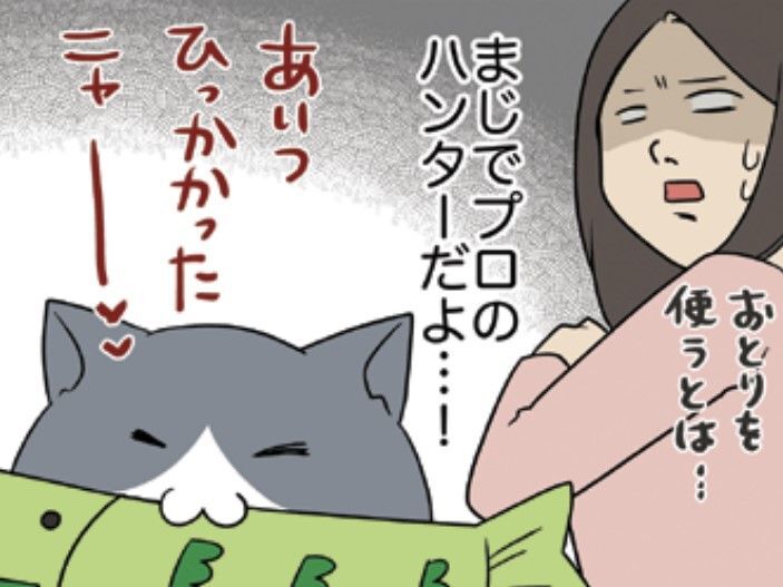 うちの愛猫はプロハンター。「イヤな予感…！？」仕掛けられた巧妙な罠…！【おさんぽですし！#23】