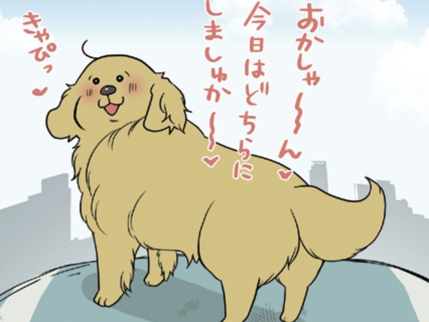 愛犬のとの生活になくてはならない「お散歩」。あーちゃんのお散歩マイルール【おさんぽですし！#14】