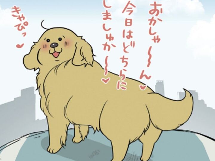 愛犬のとの生活になくてはならない「お散歩」。あーちゃんのお散歩マイルール【おさんぽですし!#14】