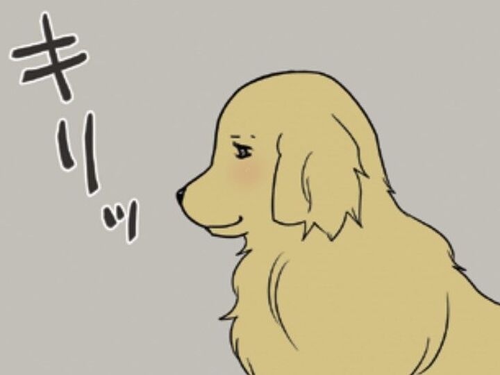 いつも"とぼけ顔"の愛犬。賢そうなお顔をしている時は…たいていコレ。【おさんぽですし!#5】