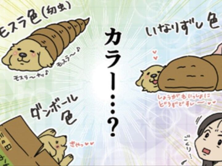 モスラ色にいなりずし色…?うちの子の「カラー」って…!?悩んだ結果出した答えは…【おさんぽですし!#16】