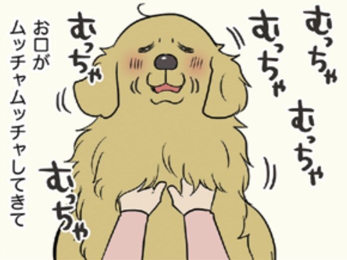 我が家の愛犬の「なでなでモフモフ」ポイントは…？最後にこうなったら大成功！！【おさんぽですし！#4】
