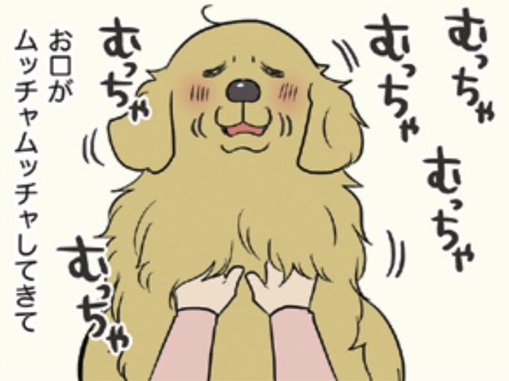 我が家の愛犬の「なでなでモフモフ」ポイントは…?最後にこうなったら大成功!!【おさんぽですし!#4】