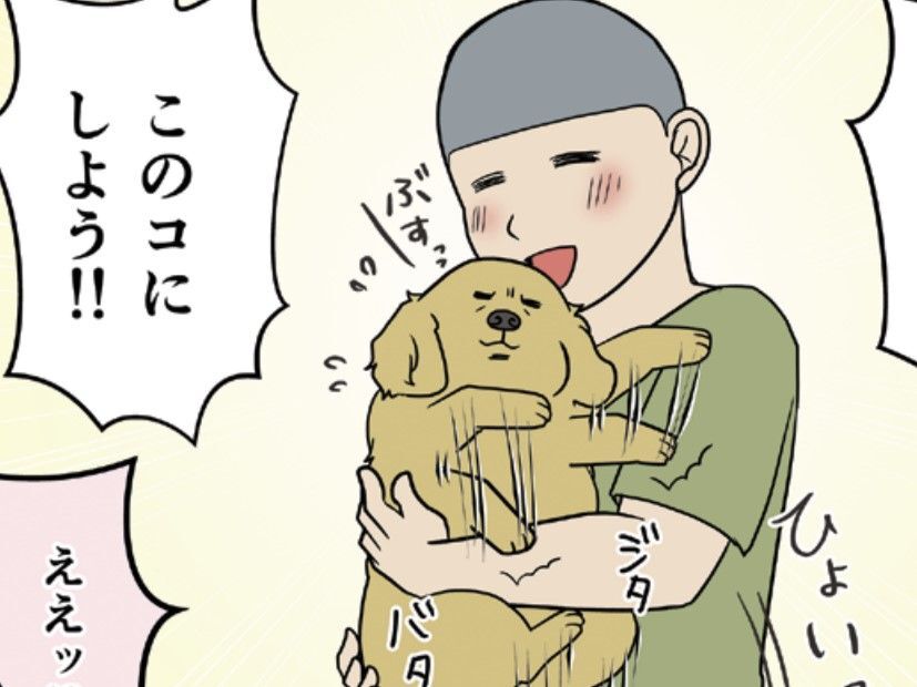 「可愛いよこの子！！」夫の鶴の一声で"不愛想な仔犬"に即決！名前はどうする？【おさんぽですし！#2】