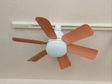 今年の夏はコレで電気代激減！エアコン不要？