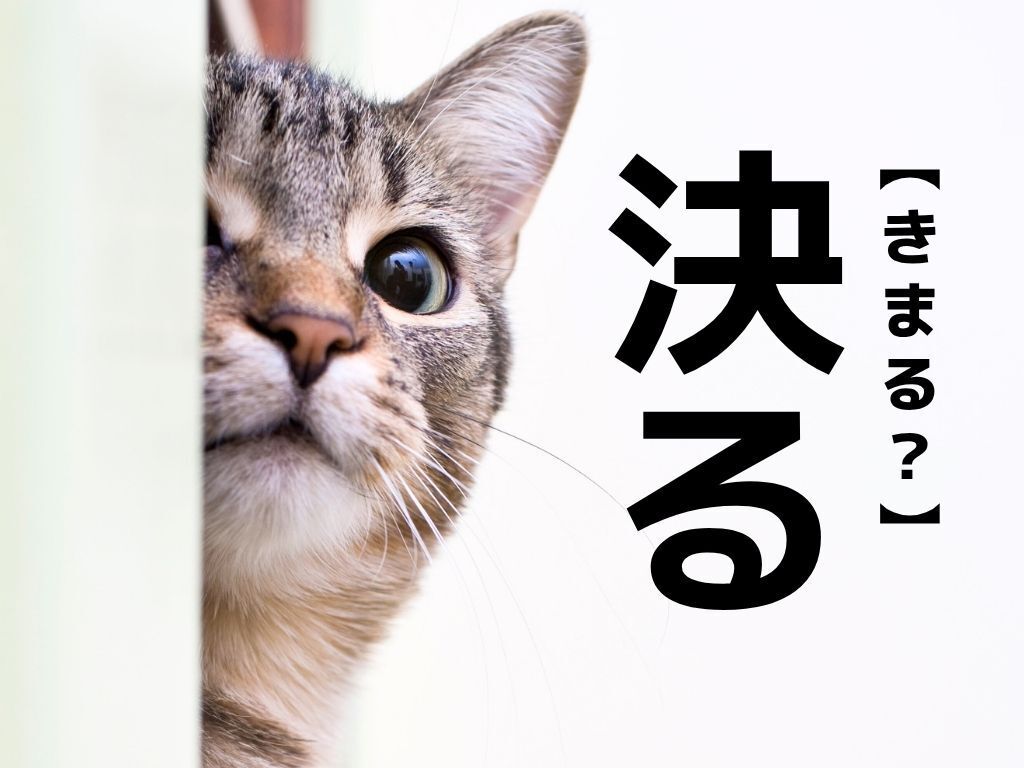 【決る】なんて読む？「きまる」でも「きめる」でもありません！【読めそうで読めない漢字クイズ】
