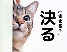 【決る】なんて読む？「きまる」でも「きめる」でもありません！【読めそうで読めない漢字クイズ】