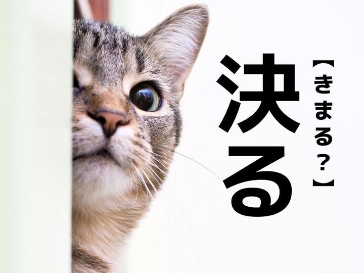 【決る】なんて読む?「きまる」でも「きめる」でもありません!【読めそうで読めない漢字クイズ】