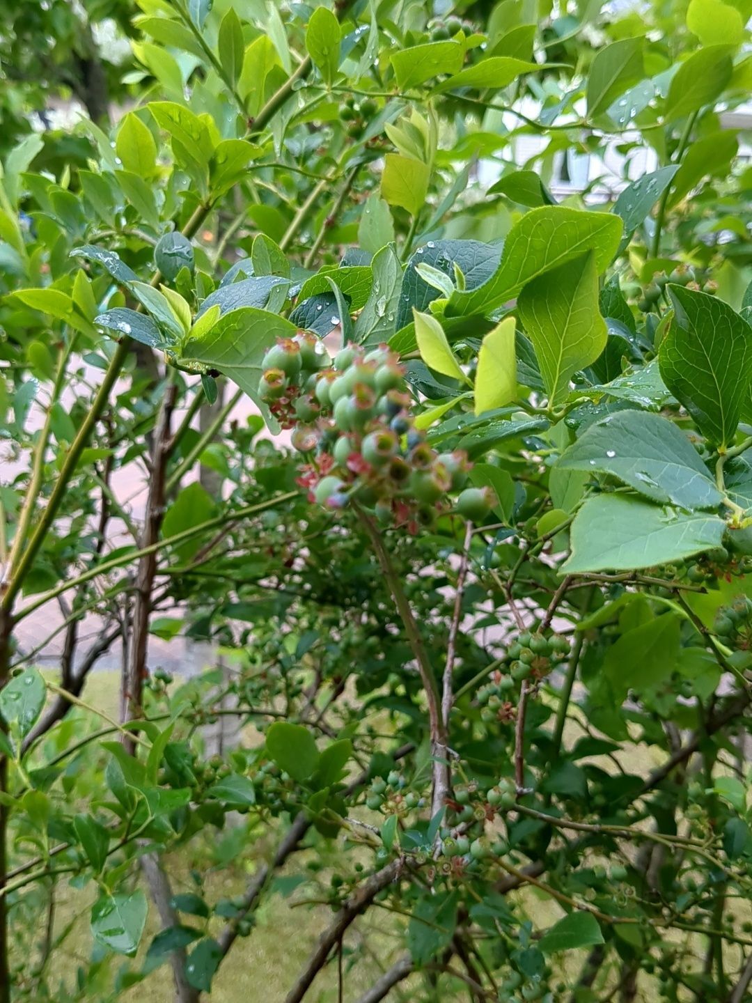 実はこんな感じです！
