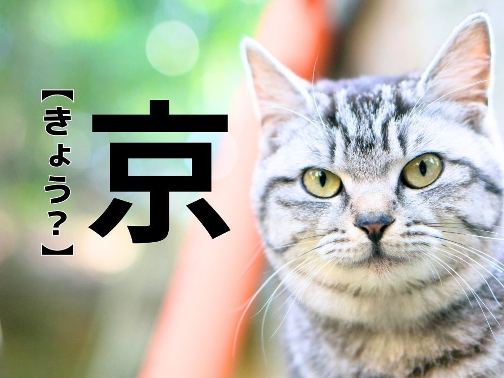 【京】さん、なんて読む？実在するレア名字！とても素敵な由来があるんです｜漢字クイズ