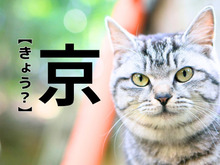 【京】さん、なんて読む？実在するレア名字！とても素敵な由来があるんです｜漢字クイズ