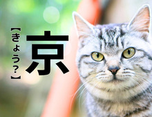 【京】さん、なんて読む？実在するレア名字！とても素敵な由来があるんです｜漢字クイズ