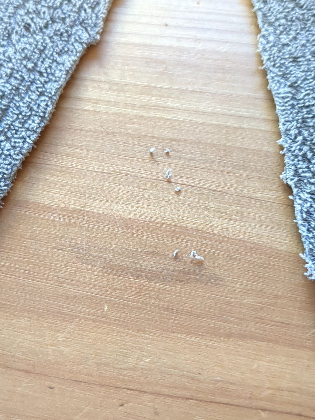 普通にハサミで切り落とすと…