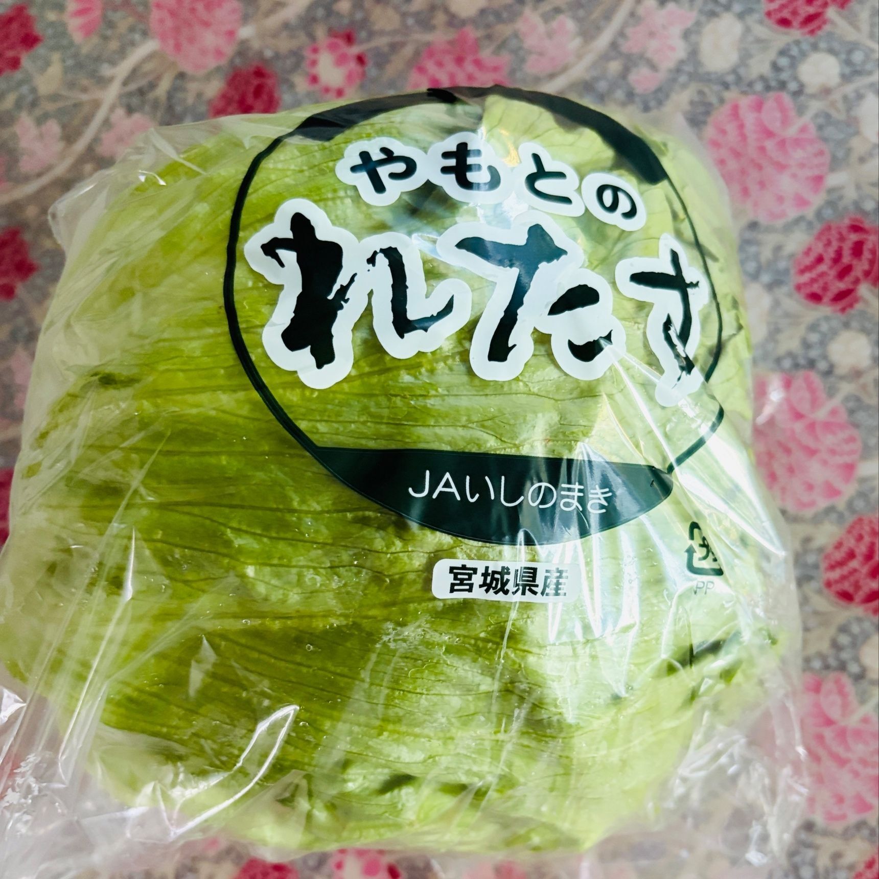 レタスの硬いところ！栄養価が高い！捨てるなんてもったいない！