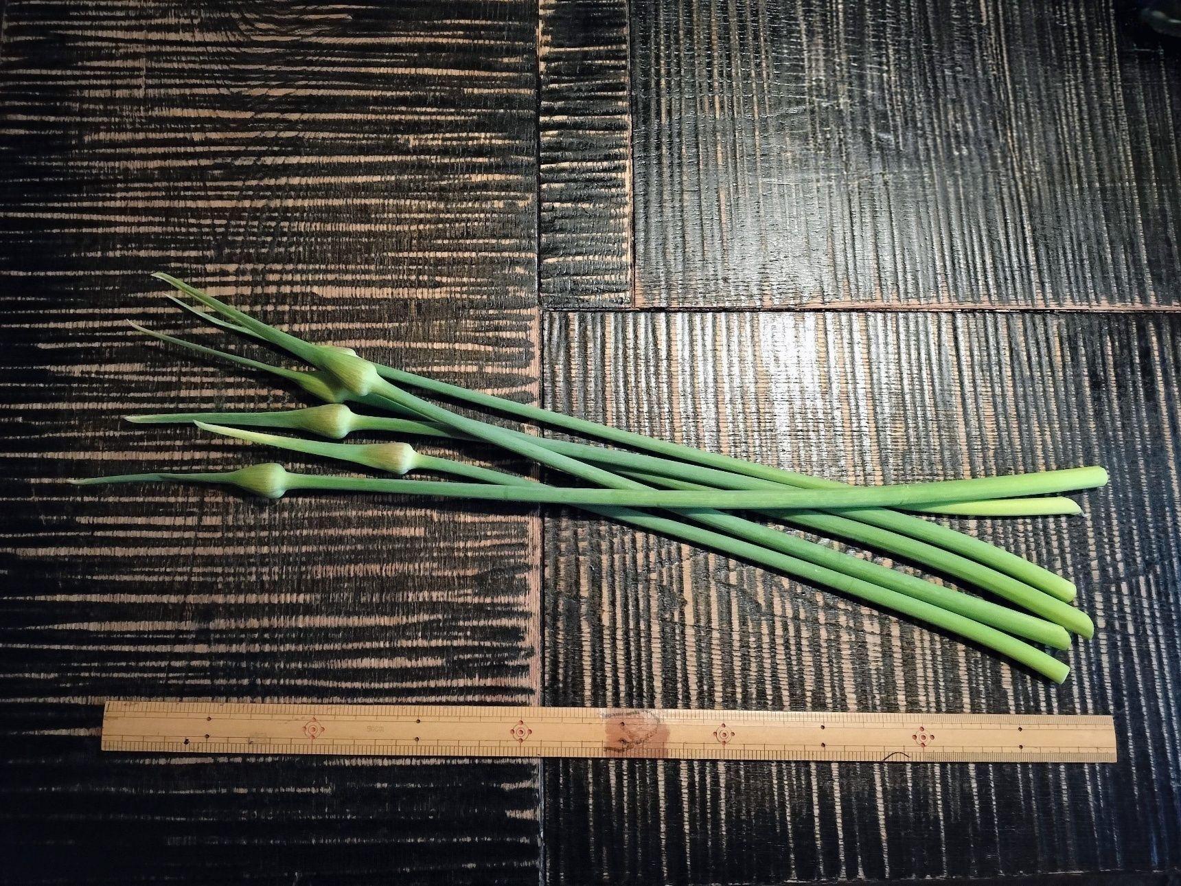 にんにくの芽（国産/蕾付き）を直売所で購入