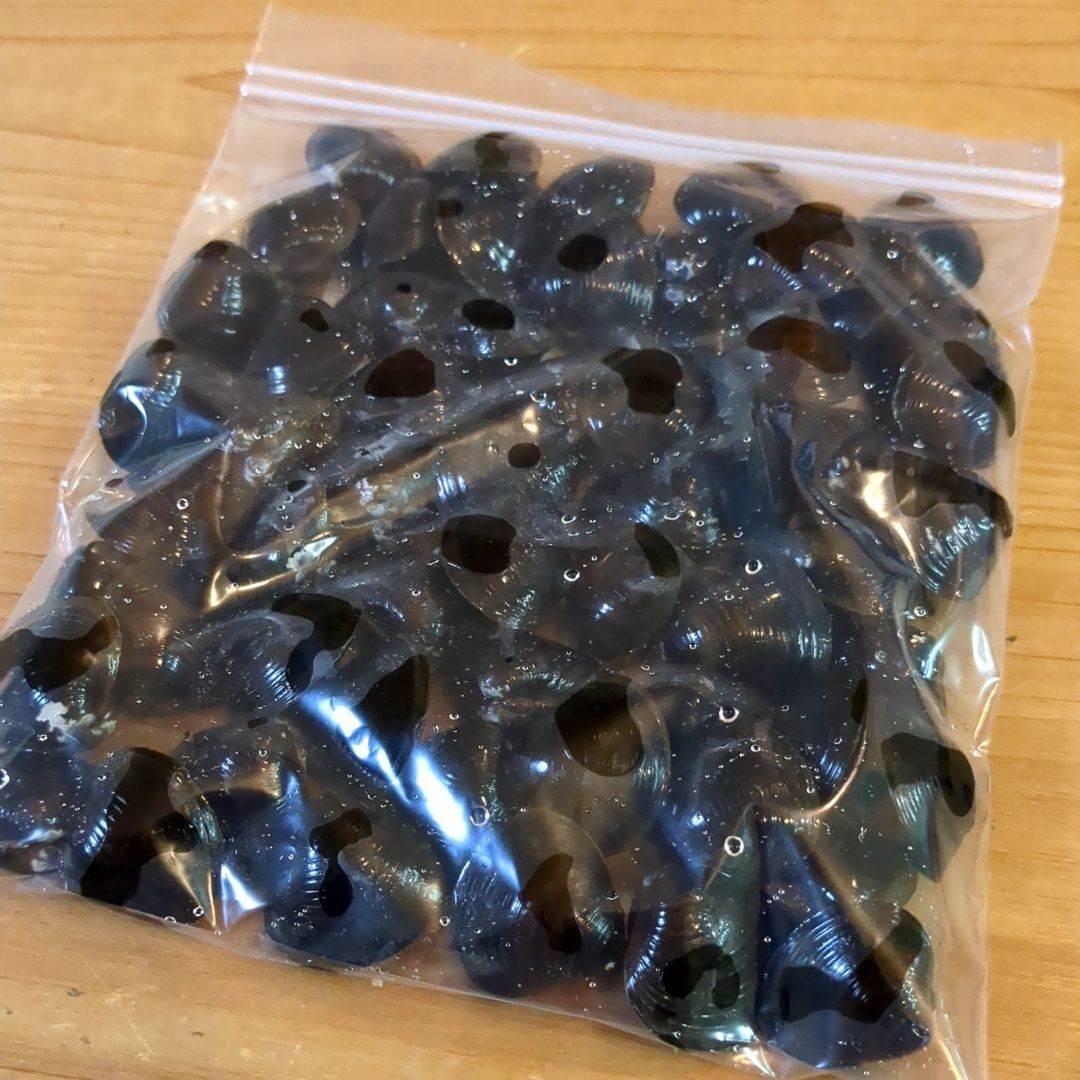 新鮮ですが⋯