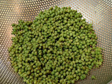 【この季節だけ！】山椒の実の下処理方法！