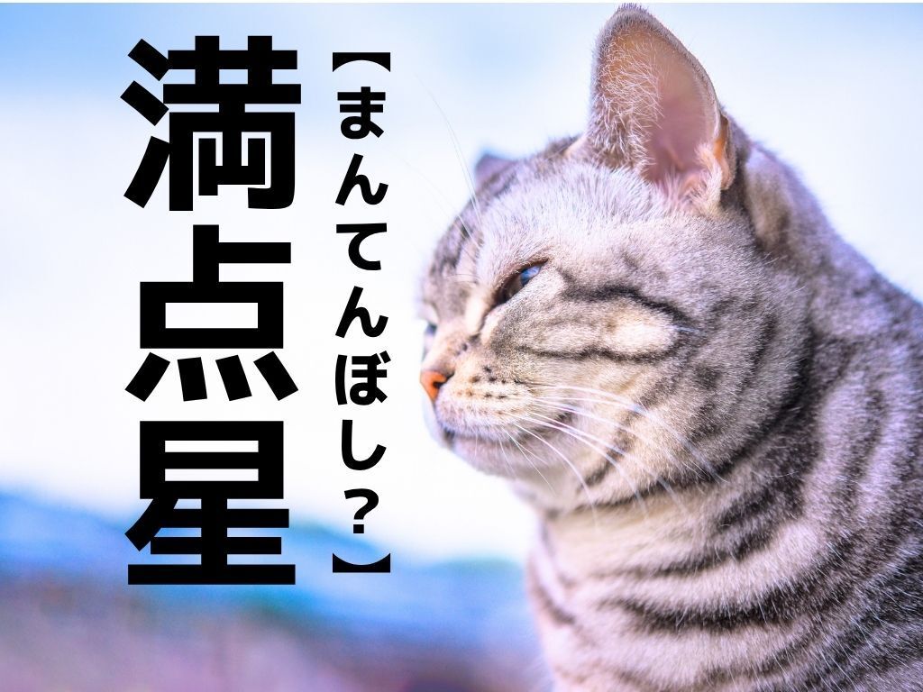 【満点星】なんて読む？「まんてんぼし」ではありません。まさかこんな字を書くなんて！【漢字クイズ】