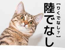 【陸でなし】なんて読む？「りくでなし」ではありません。漢字の成り立ちを知ると…なるほどねー！！【漢字クイズ】