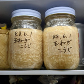 新玉ねぎ麹！