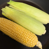 トウモロコシが簡単に美味しく食べられるフライパン調理やってみた！