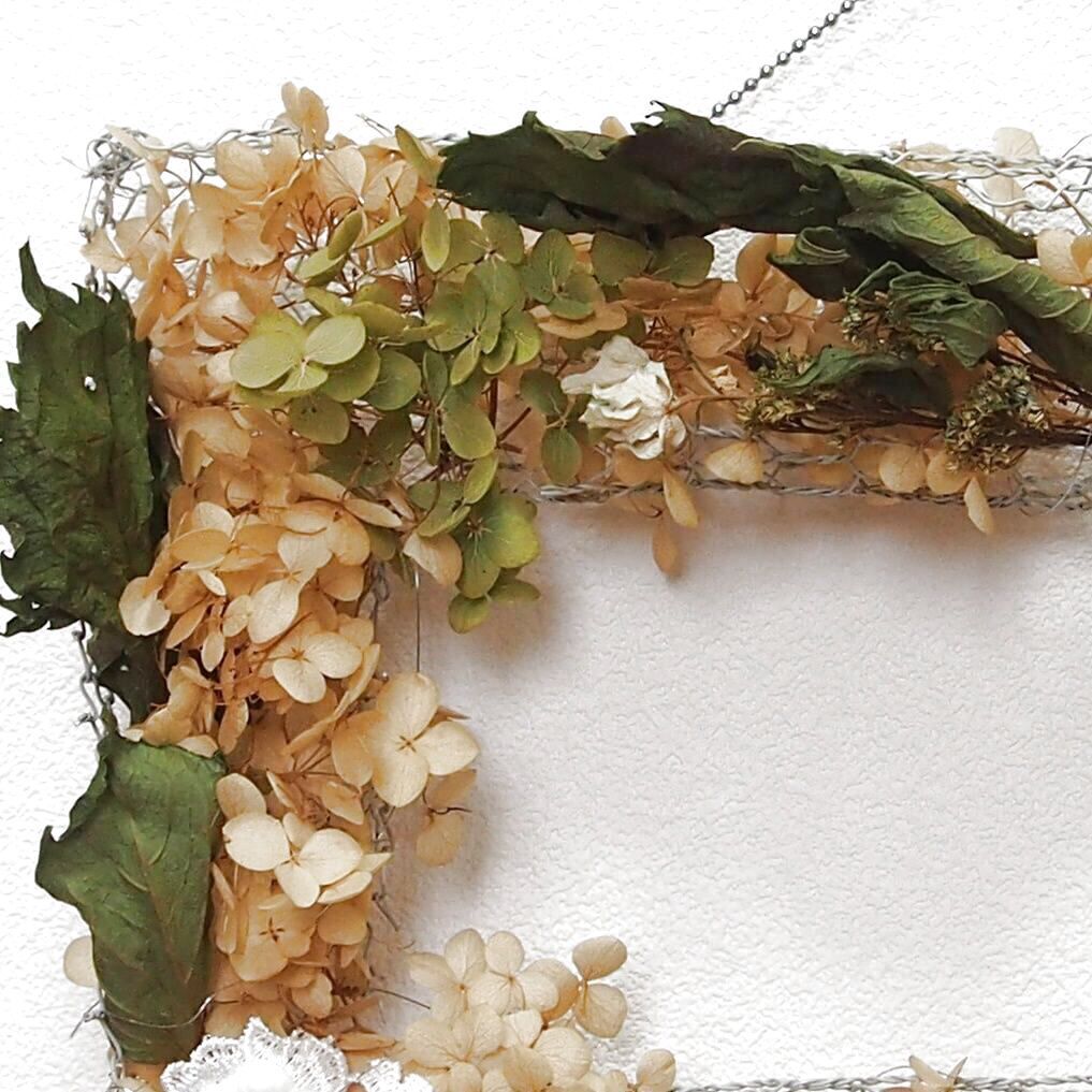 「グリーンのアナベル」と「墨田の花火」です
