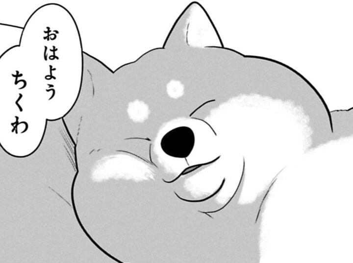 人間からの"かわいい"を回収せよ!!その任務のため派遣されたのは…柴犬型宇宙生物「ちくわ」【ちくわ戦記#2】