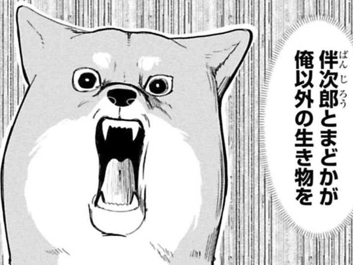 自分以外の生き物をめちゃくちゃかわいがる飼い主夫婦。ちくわ、まさかの大ピンチ!?【ちくわ戦記#7】