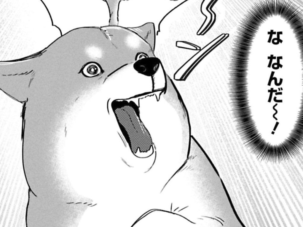 ちくわの肉球パンチが赤ちゃんに炸裂！？それが意外な展開に…「なんてかわいいんだ…！！」【ちくわ戦記#10】