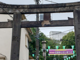 文京あじさい祭りに行ってきました