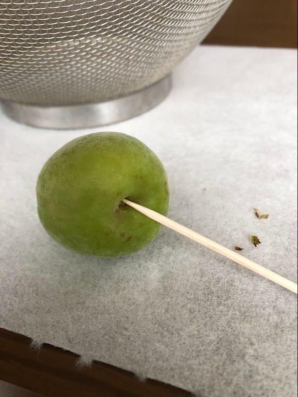 梅の下処理をして「冷凍」する