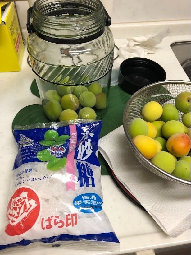 「梅シロップ」を作ろう！
