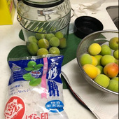 「梅シロップ」を作ろう！