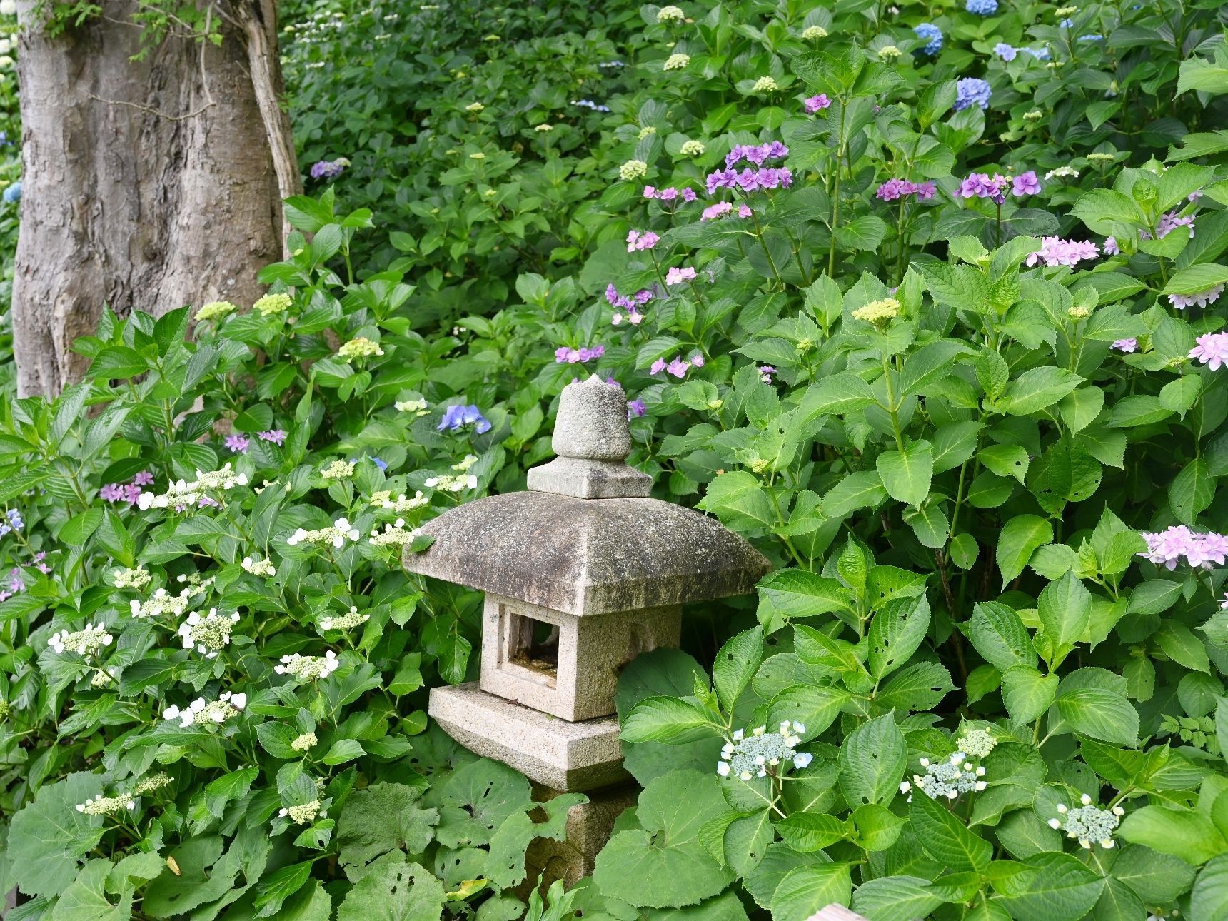 長谷寺へ...