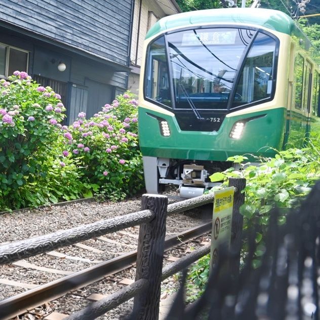 長谷駅から、御霊神社近くの江ノ電と紫陽花