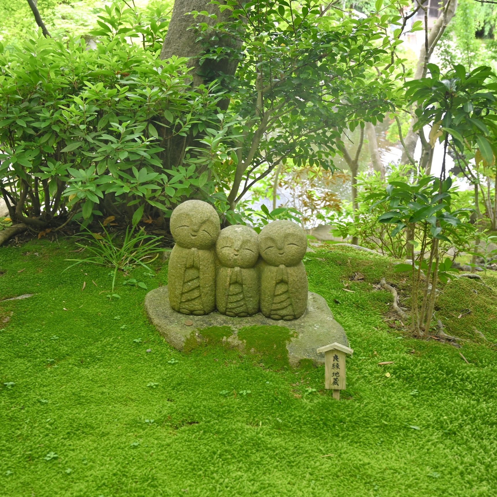 長谷寺の基本情報